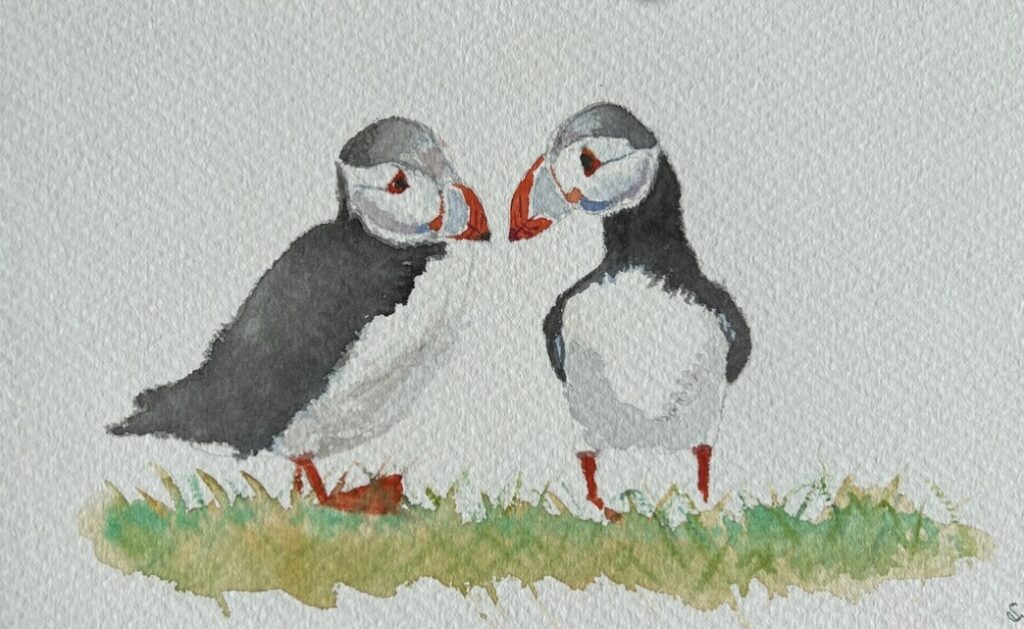 A right pair of puffins!